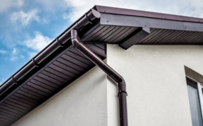 Why Gutters Are the Unsung Heroes of Your Roof