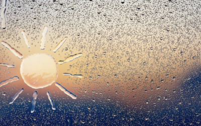 The Impact of WA’s Climate on Roofs: Heat, Wind & Rain